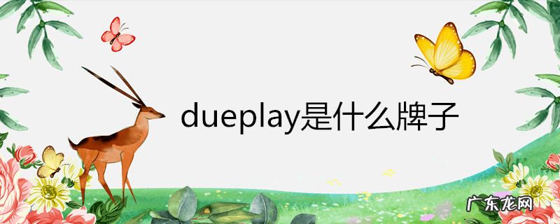 dueplay是什么牌子