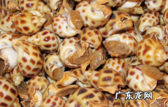 花螺水煮要多久可以 花螺可以用盐水泡多久