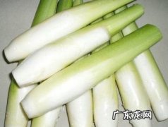 茭白吃了有什么好处