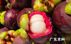 山竹的核能嚼碎后吃吗 山竹的核吞了会怎么样