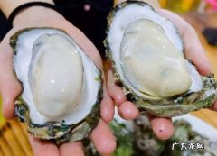 吃牡蛎有什么好处？牡蛎的营养价值高吗？