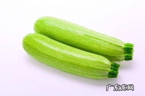 蔬菜瓜类有哪些
