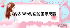 内衣38b对应的国际尺码