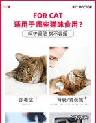 宠物猫尿结石吃什么药？