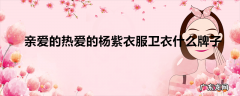 亲爱的热爱的杨紫衣服卫衣什么牌子