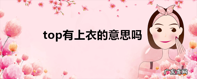 top有上衣的意思吗