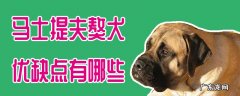 马士提夫犬和高加索哪个大 马士提夫獒犬优缺点有哪些