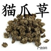 猫抓草能治肺结节吗？一盒多少钱？能吃多久？猫吃这个有用吗