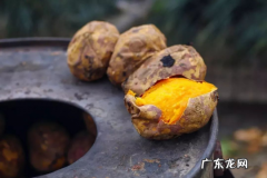 为什么烤的红薯比蒸的热量高 烤红薯会比蒸红薯热量高吗