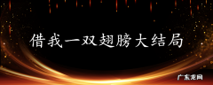 借我一双翅膀大结局