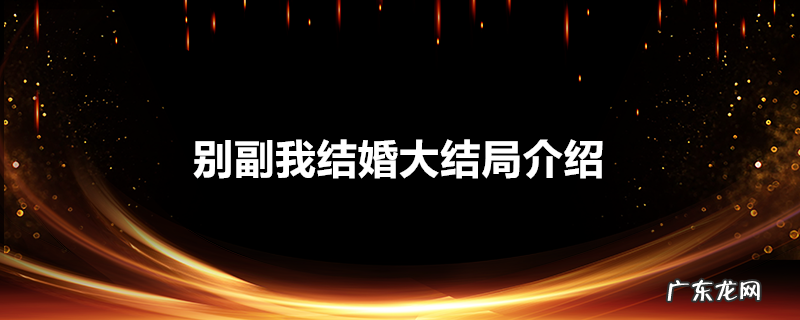 别副我结婚大结局介绍