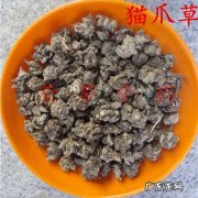 猫抓草药可以治疗肺结节？猫：我太难了!