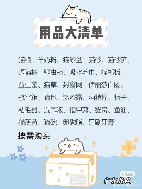 新手养猫准备什么,新手养猫注意事项