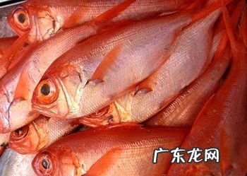 红色的鱼可以吃的是什么鱼
