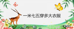 一米七五穿多大衣服