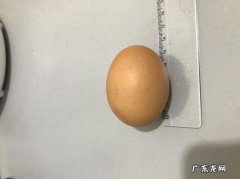 一个鸡蛋多少毫升