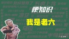 老六是骂人的吗