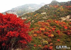 山西适合秋天旅游的地方,你去过几个？