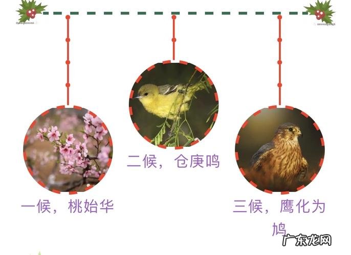 二十四节气:立夏三候是哪三候?一侯蝼蝈鸣,二侯蚯蚓出,三侯王瓜生