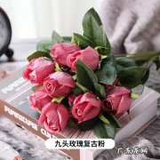 九朵粉玫瑰花代表什么意思