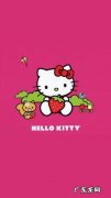 猫hellokitty：猫咪们太可爱了,让人忍不住想要抱一抱!