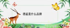 德鲨是什么品牌
