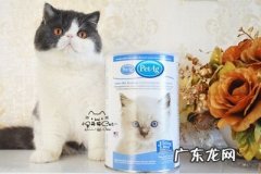 给幼猫喝婴儿奶粉行吗？猫咪喝牛奶拉肚子是怎么回事？
