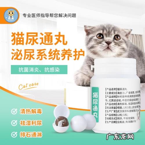 猫尿道堵塞吃什么药