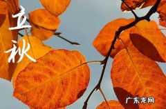 20篇 立秋祝福语2023