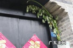 艾叶插门头是什么节日