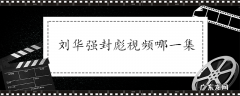 刘华强封彪视频哪一集
