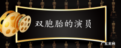 双胞胎的演员