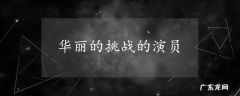 华丽的挑战的演员