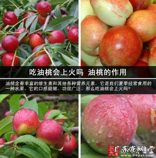 吃油桃的好处有哪些?吃油桃要注意什么?一起来看看吧!