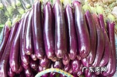茄子吃油嘛 茄子吸油吃了会胖吗
