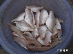 吃橡皮鱼有什么作用？吃橡皮鱼有什么好处？一起来了解一下!