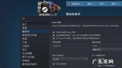 steam是买共享还是独享