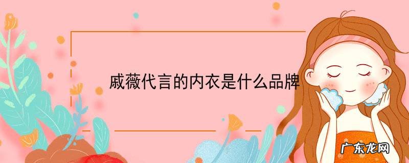 戚薇代言的内衣是什么品牌