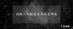 同龄人刘解放当局长是哪集