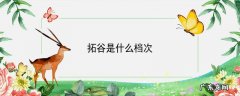 拓谷是什么档次