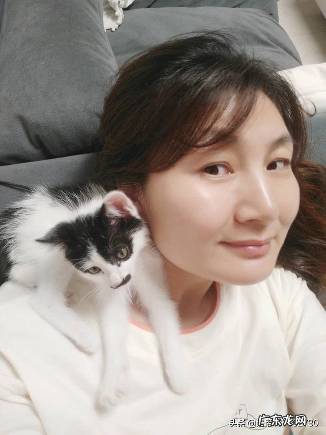 养猫的都是有钱人吗 有养猫的人吗