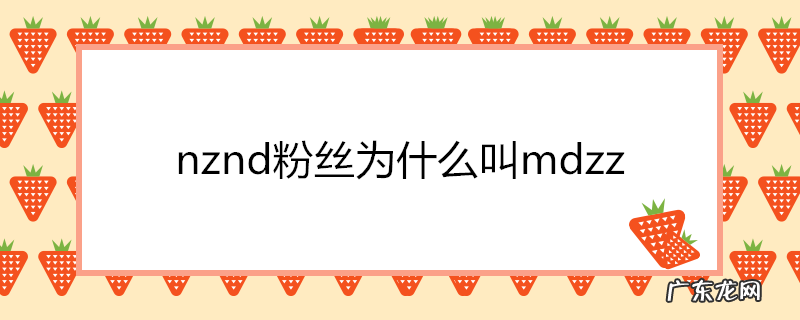 nznd粉丝为什么叫mdzz