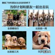 一起约出去玩的群名,你猜我是什么？