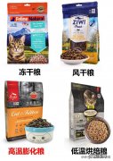 性价比高的国产猫粮 有哪些靠谱的国产猫粮