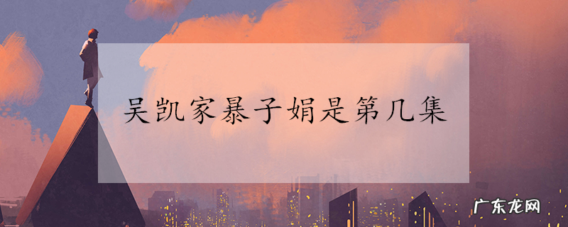 吴凯家暴子娟是第几集