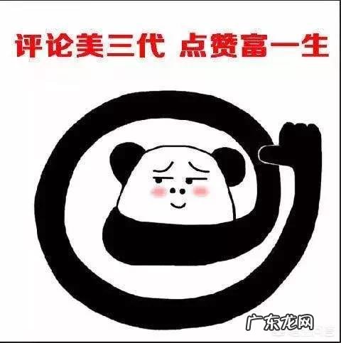 边牧可以和其他狗一起养吗 为什么边牧不爱跟别的狗一起玩呢
