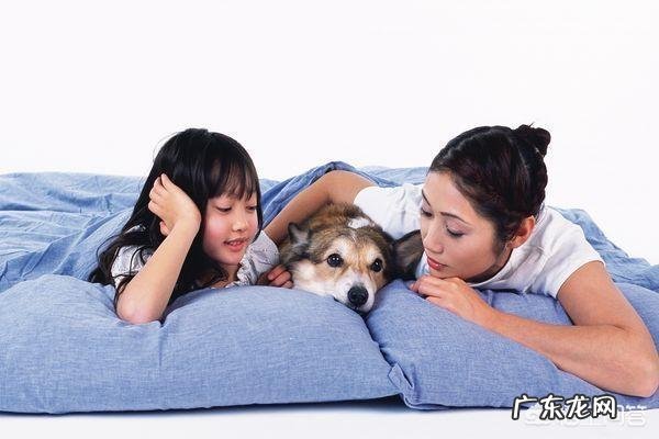 搂着狗狗睡觉的好处 睡觉时有狗狗陪伴，有什么好处