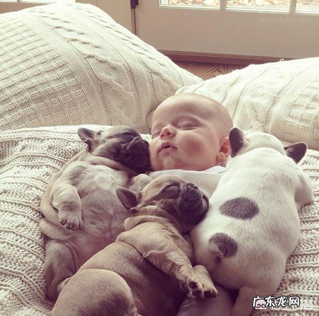 搂着狗狗睡觉的好处 睡觉时有狗狗陪伴，有什么好处
