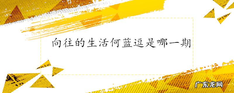 向往的生活何蓝逗是哪一期