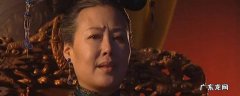 康熙王朝孝庄归天是哪一集